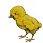 Supreme Farms (Pvt) Ltd